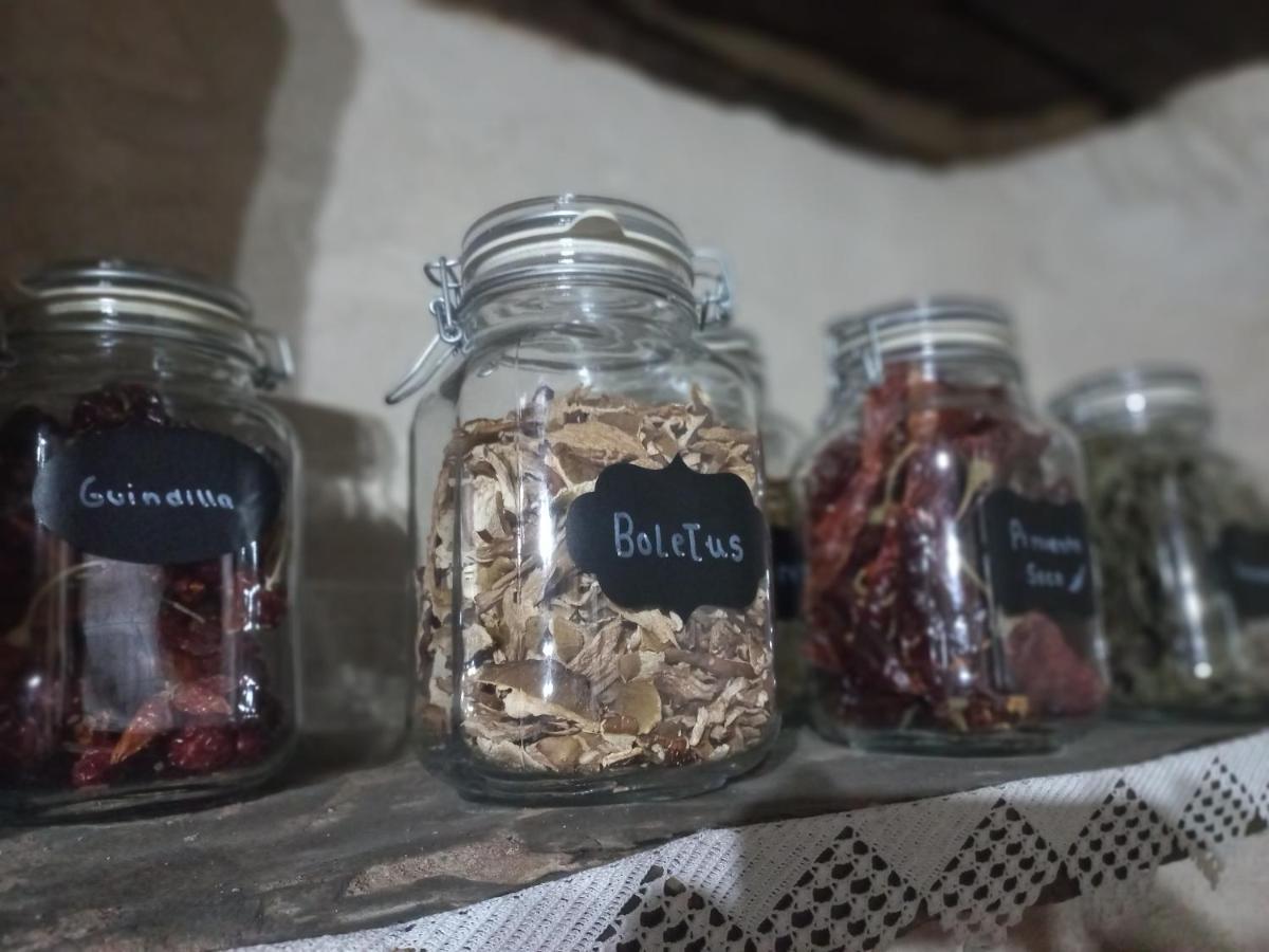 Casa Rural La Moraquintana Βίλα Santibanez el Bajo Εξωτερικό φωτογραφία
