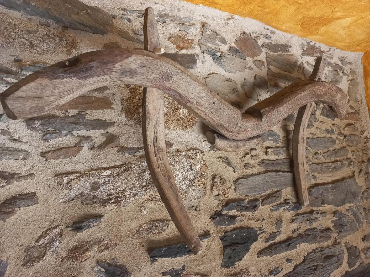 Casa Rural La Moraquintana Βίλα Santibanez el Bajo Εξωτερικό φωτογραφία